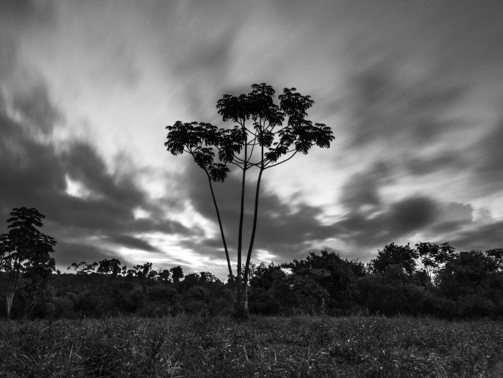 Fotografia paisaje naturaleza