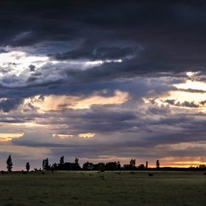 Fotografía de Paisaje