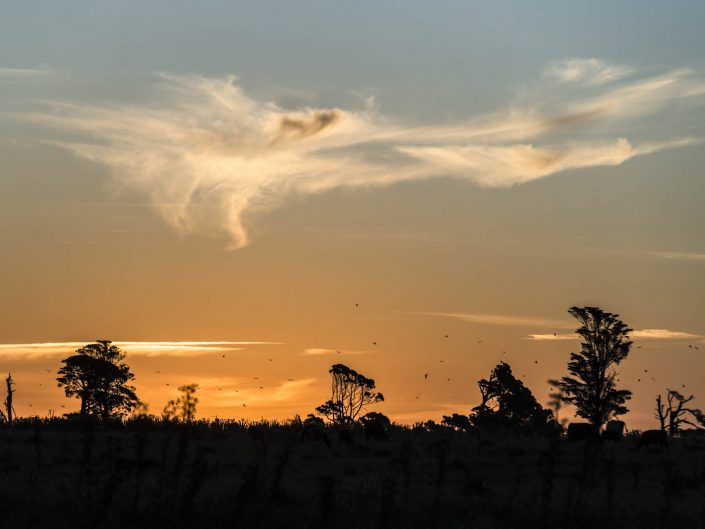 Fotografía de Paisaje