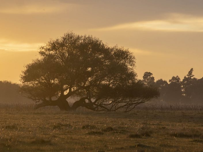 Fotografía de paisaje